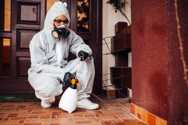 Reliable Wasp Removal contractor in Ashdown, AR by Show Me Pest Control